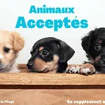 Spacieuse Maison A St Jean De Monts, Animaux Admis, Parking - Fr-1-323-495 سان جان دي مونت