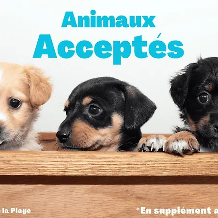 Spacieuse Maison A St Jean De Monts, Animaux Admis, Parking - Fr-1-323-495 Saint-Jean-de-Monts
